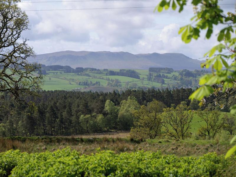 Cardross Estate Holiday Cottages image