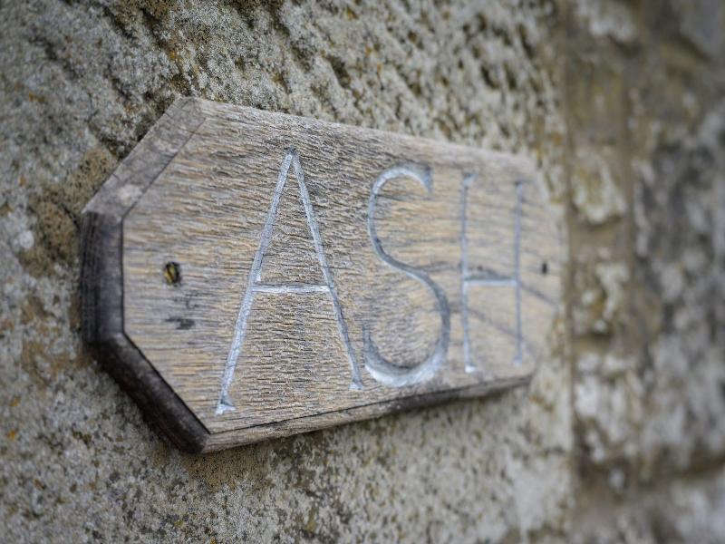 Cardross Estate Holiday Cottages image