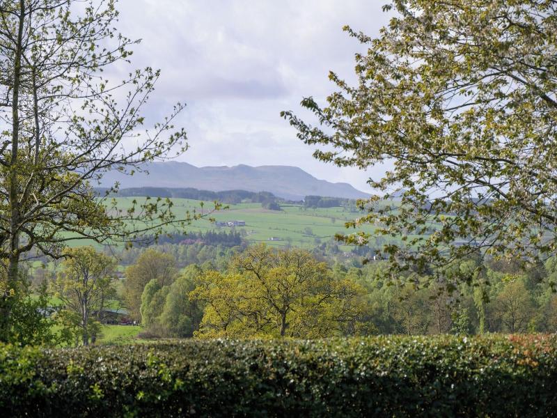 Cardross Estate Holiday Cottages image