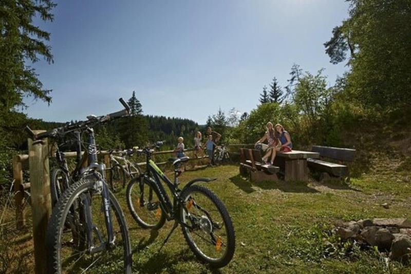 Hotel Engel - Familotel Hochschwarzwald image