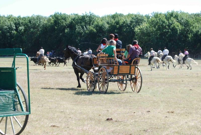 Le Mazet De Jean En Camargue image