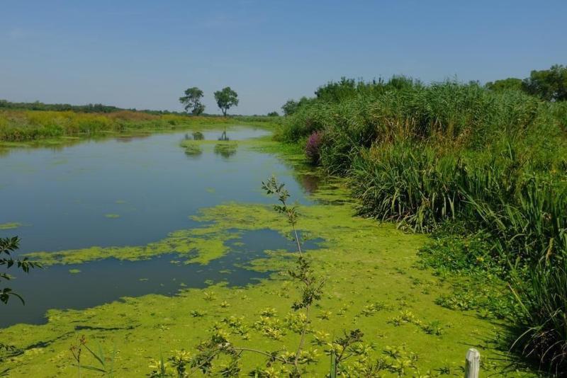 Le Mazet De Jean En Camargue image