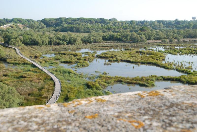 Le Mazet De Jean En Camargue image