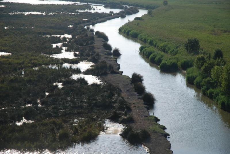 Le Mazet De Jean En Camargue image