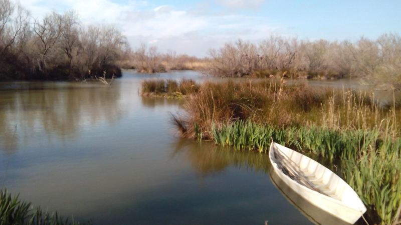Le Mazet De Jean En Camargue image