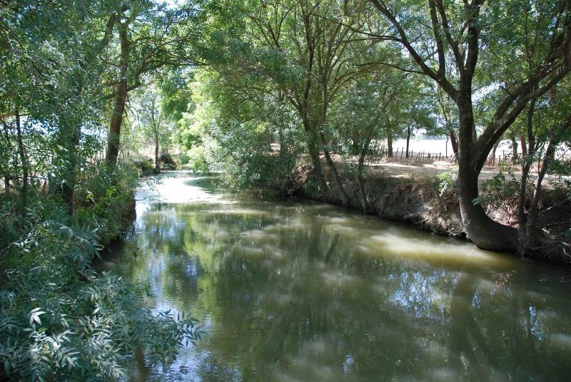 Le Mazet De Jean En Camargue image