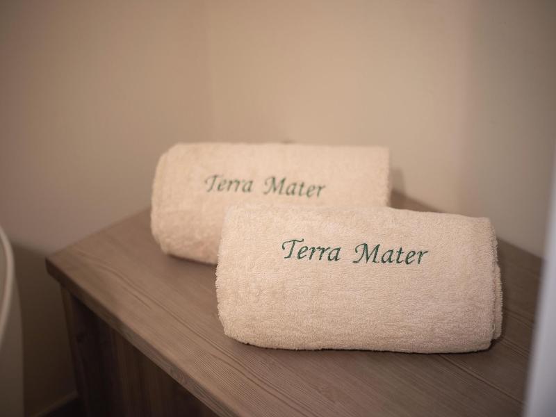 Terra Mater Rooms image