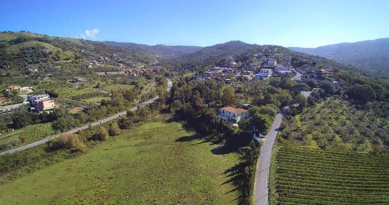Lamione Da Dorotea image