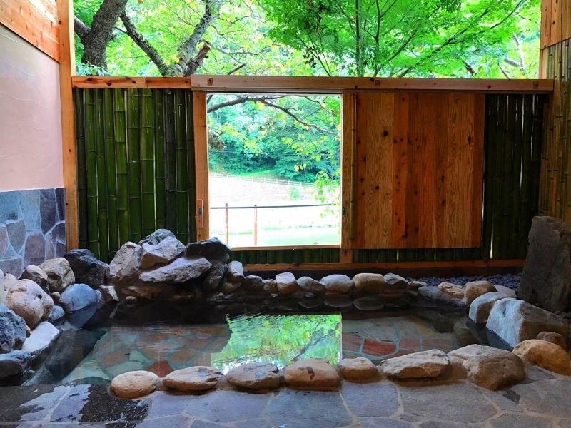 Misasa Onsen Seiryusou image