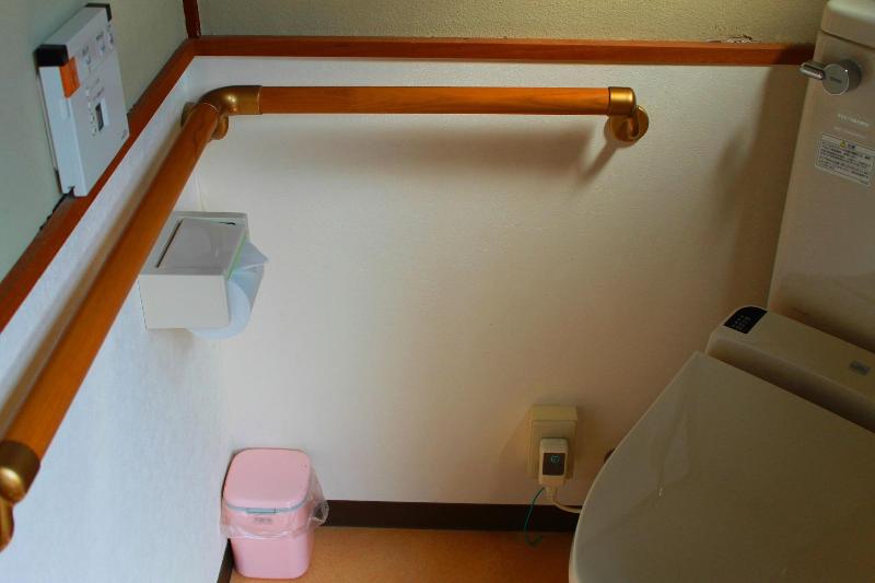 Misasa Onsen Seiryusou image