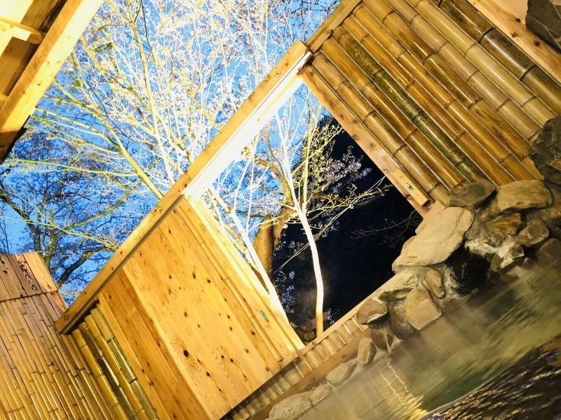 Misasa Onsen Seiryusou image