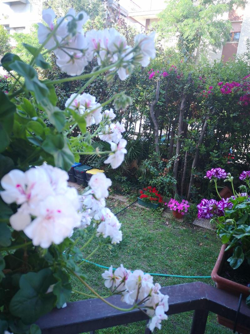 Il Giardino Di Anna image