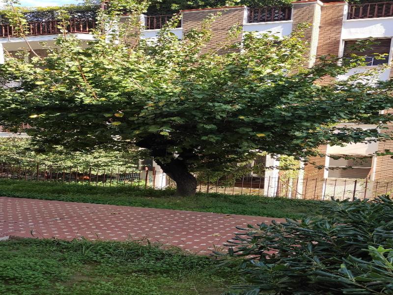 Il Giardino Di Anna image