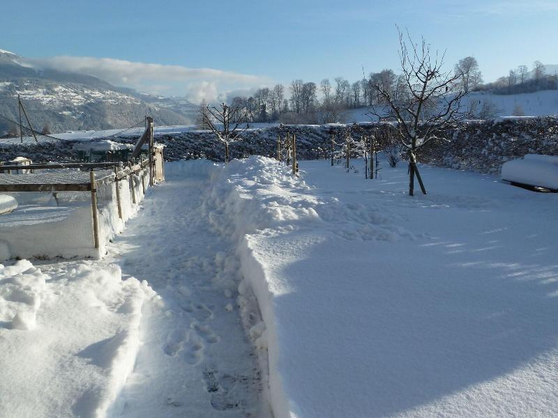 Pension Sunnmatt image