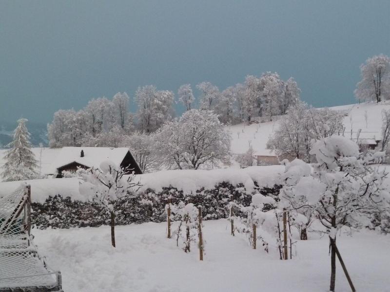 Pension Sunnmatt image