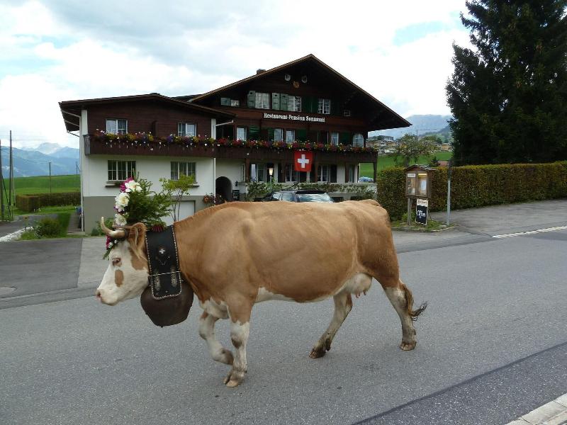 Pension Sunnmatt image