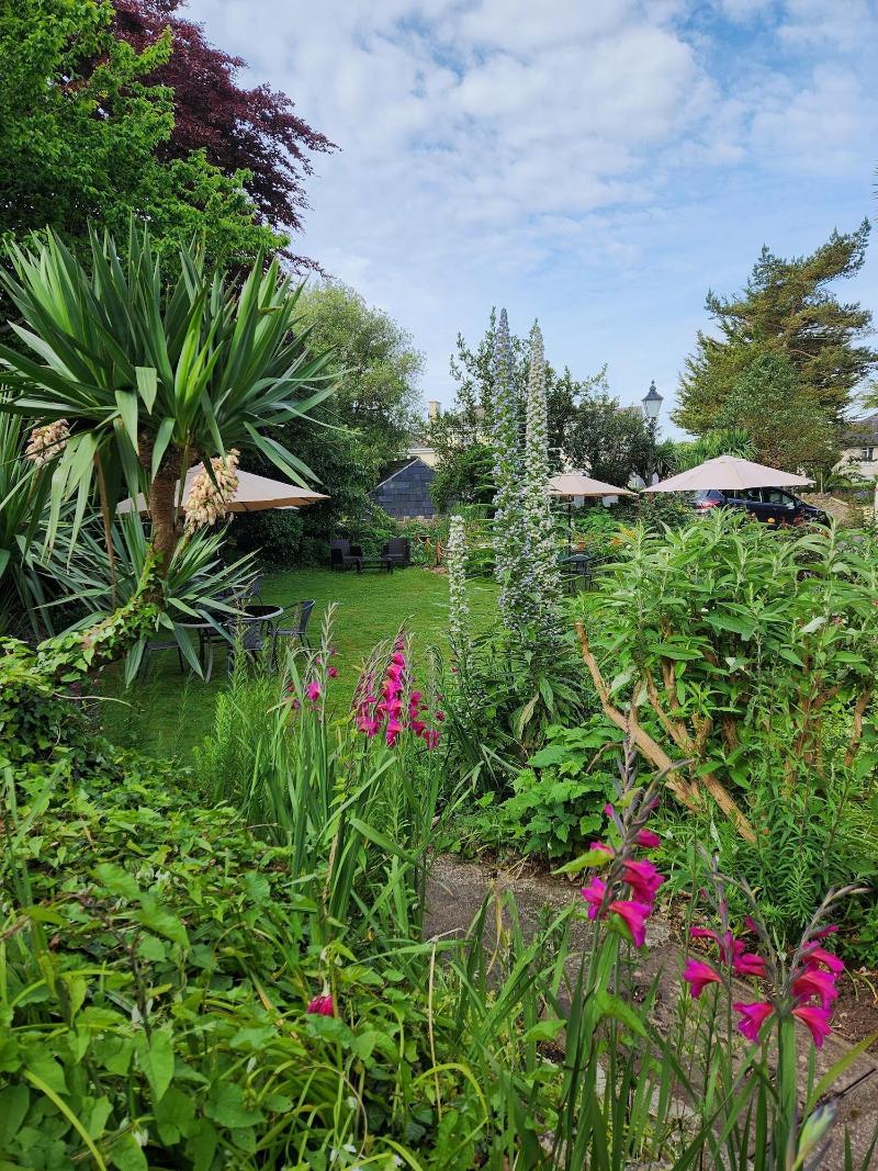 Rose Court Holiday Apartments image