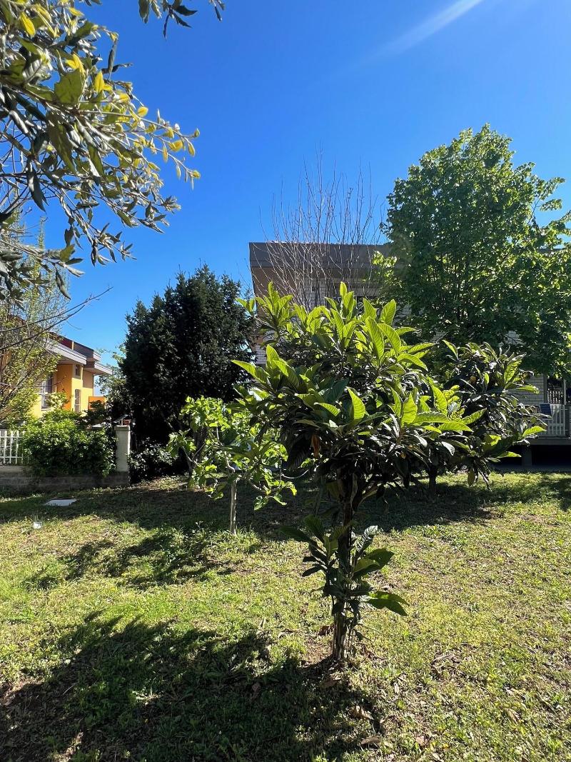 Villa Pescara image