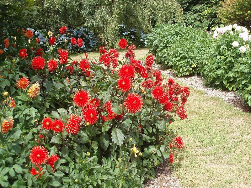 Boat Harbour Garden Cottages