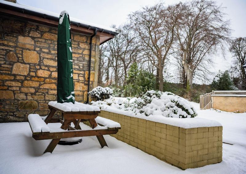 Darwin Cottage Self Catering In Elgin image