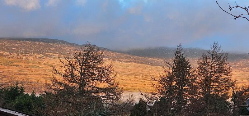 Snowdonia National Park Log Cabin With Garden image