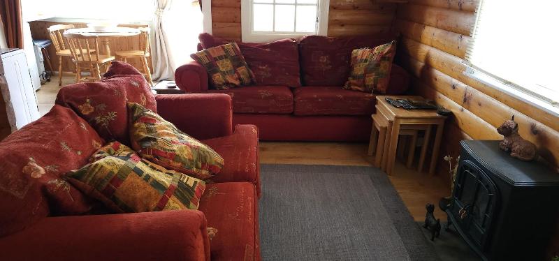Snowdonia National Park Log Cabin With Garden image