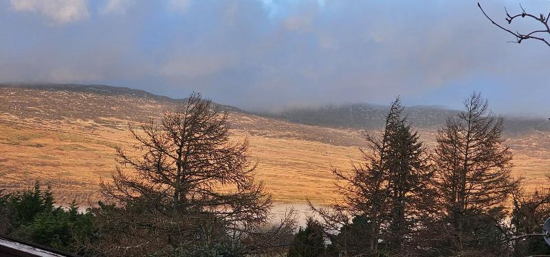 Snowdonia National Park Log Cabin With Garden image