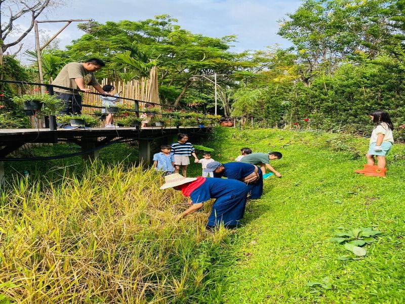 La Cocotte Villa & Farm Khao Yai
