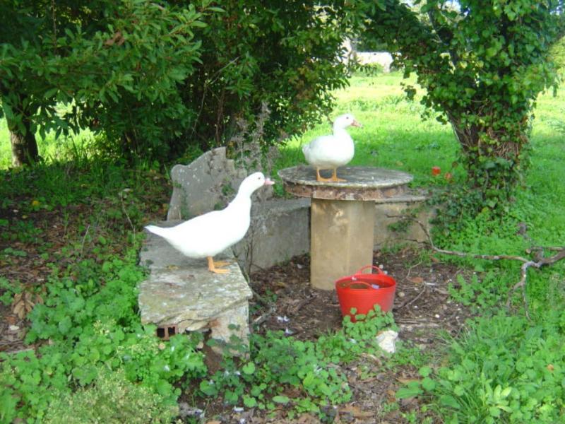 Quinta Do Scoto image