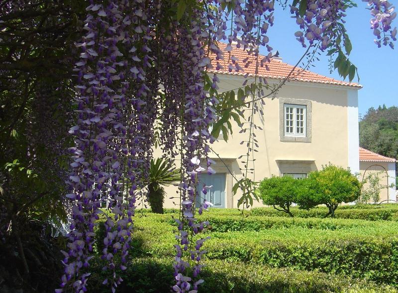 Quinta Do Scoto image