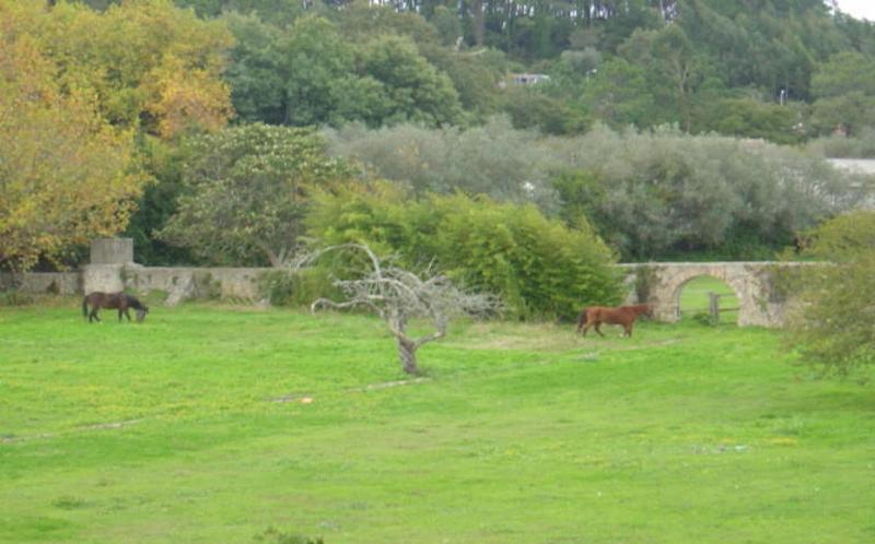 Quinta Do Scoto image