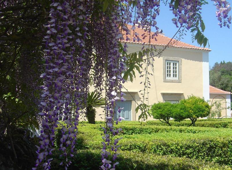 Quinta Do Scoto image