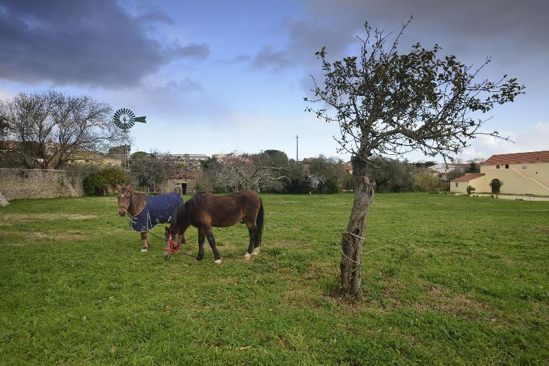 Quinta Do Scoto image
