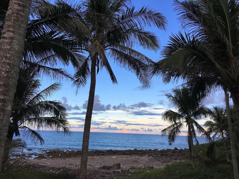 Coconut Beach Homestay image