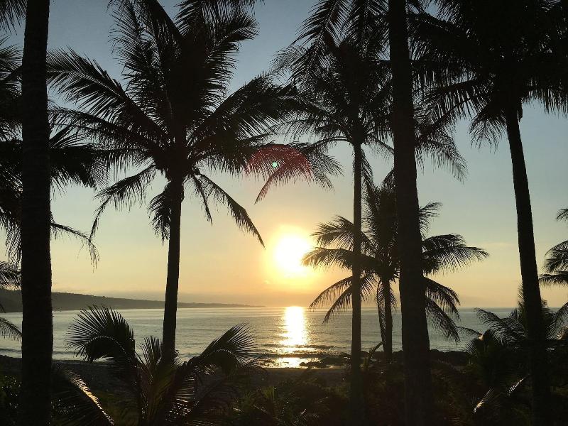 Coconut Beach Homestay image