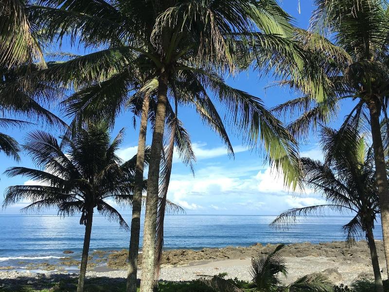 Coconut Beach Homestay image