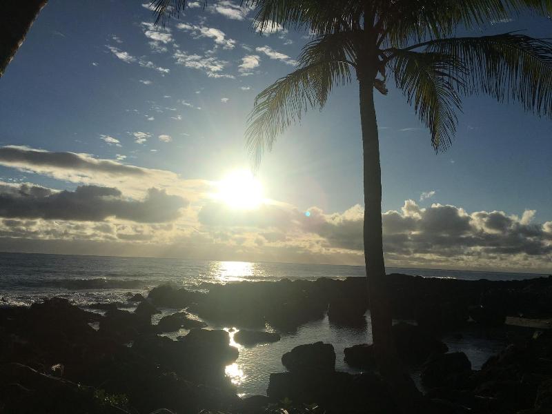 Coconut Beach Homestay image