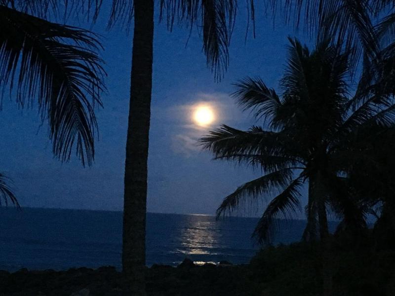 Coconut Beach Homestay image