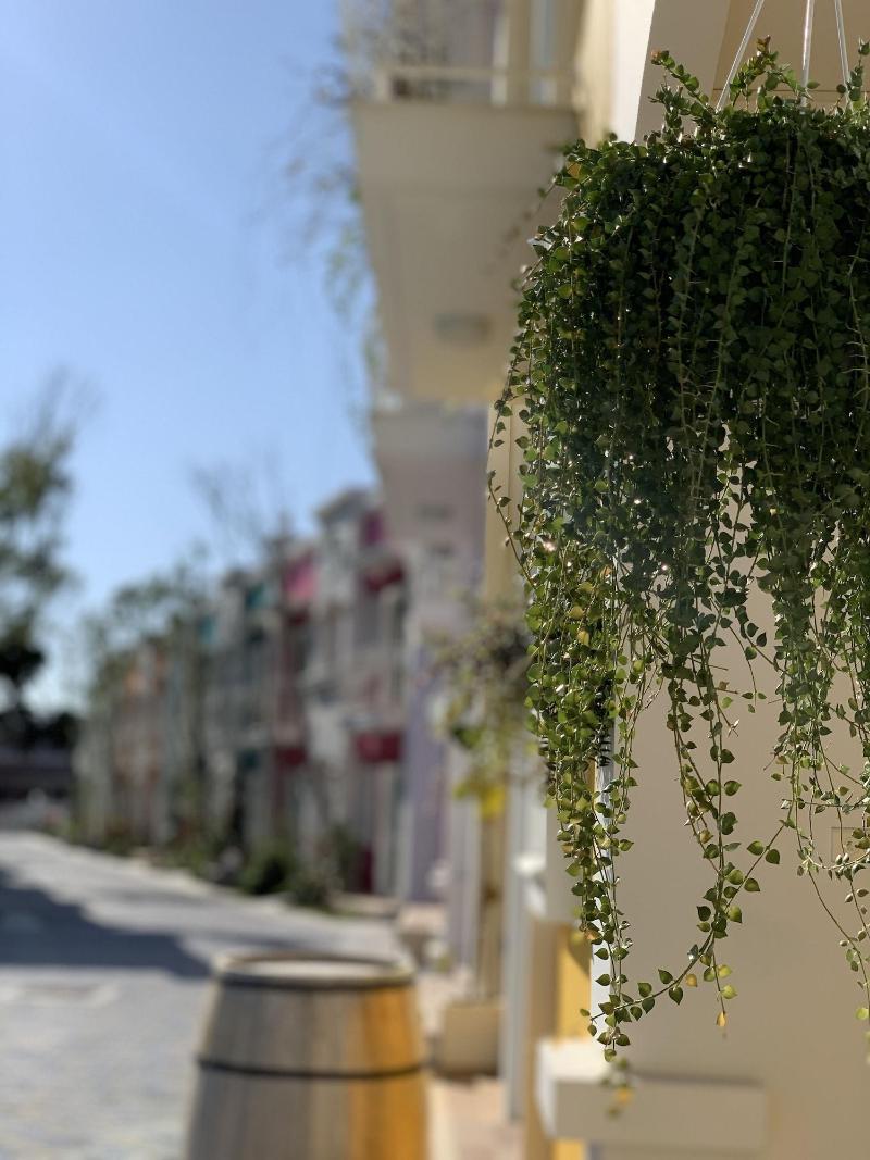Burano Yellow Villa image