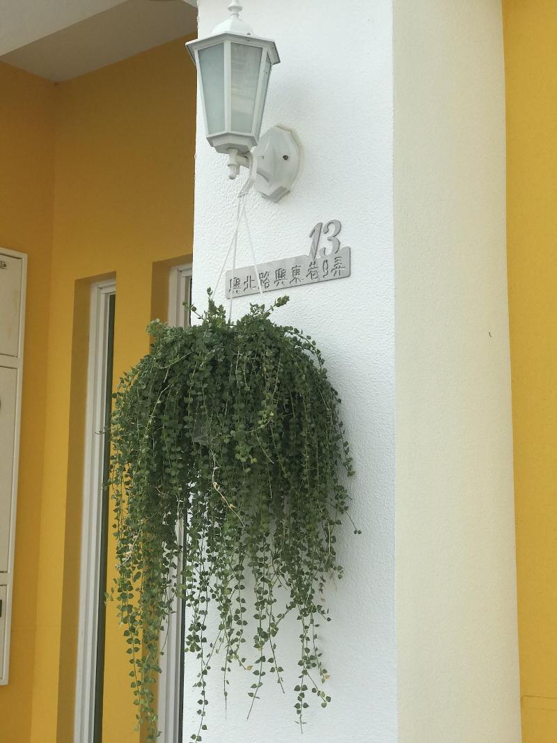Burano Yellow Villa image
