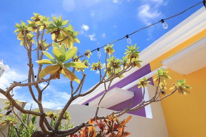 Burano Yellow Villa image