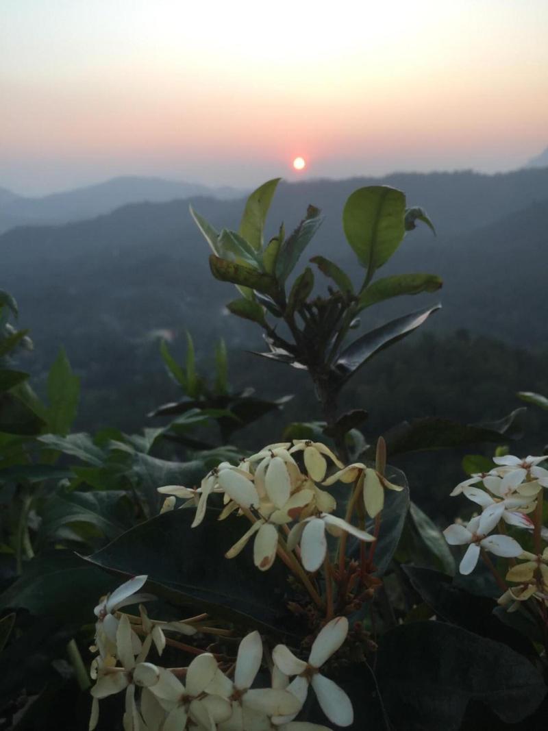 Toropi Homestay image