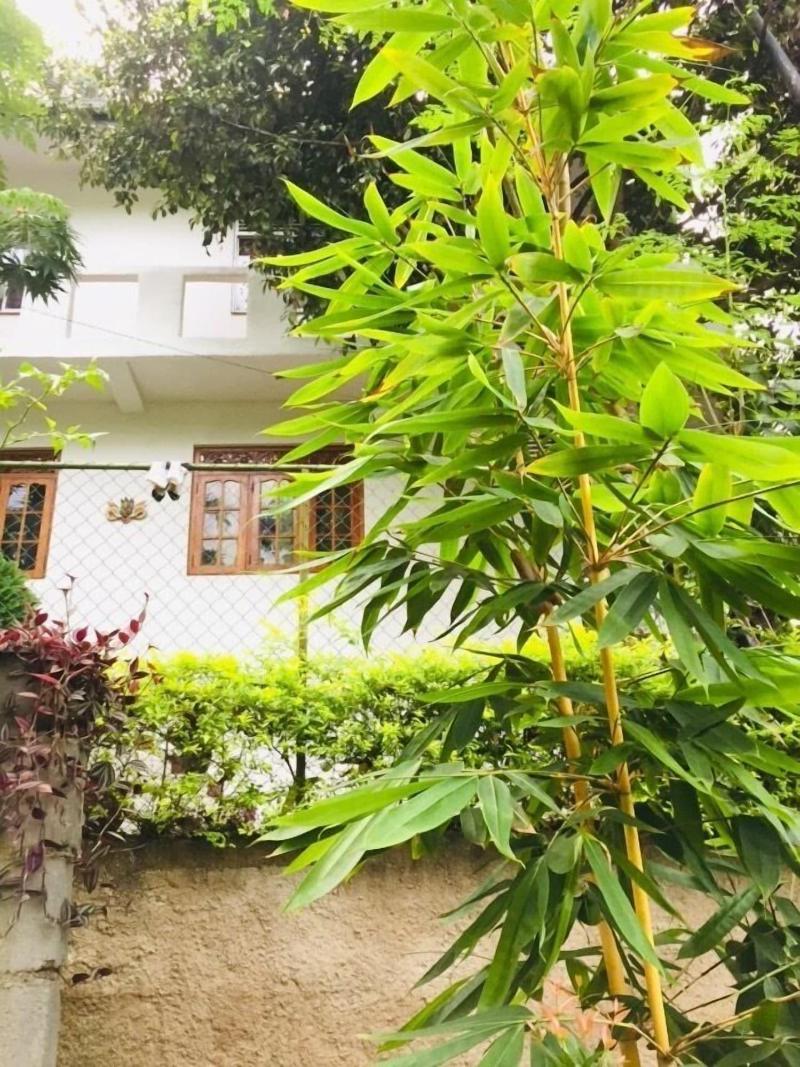 Toropi Homestay image