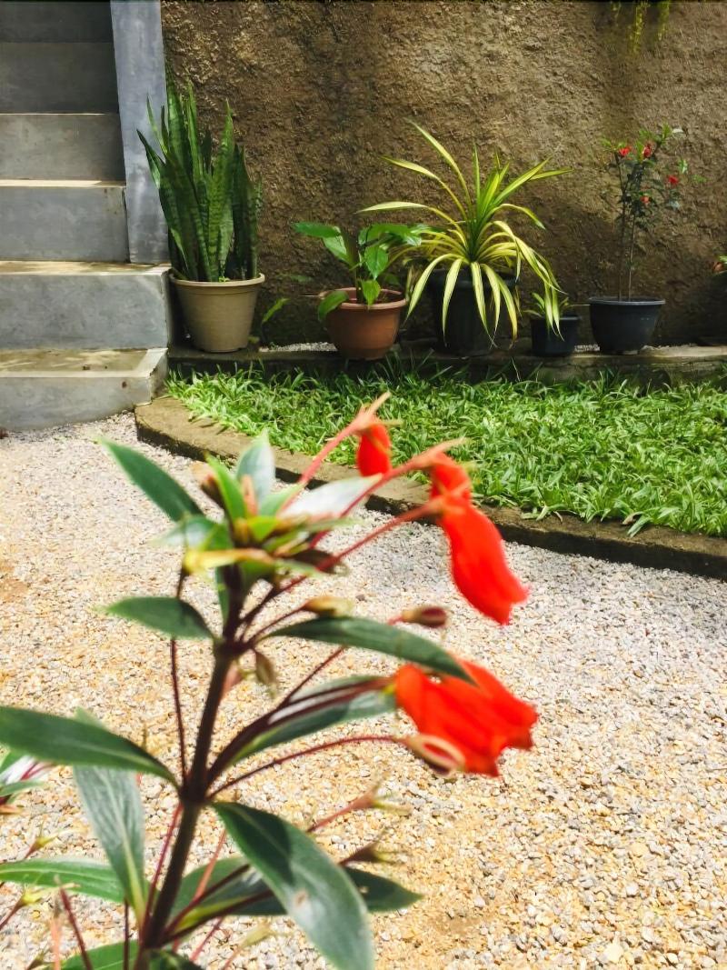 Toropi Homestay image