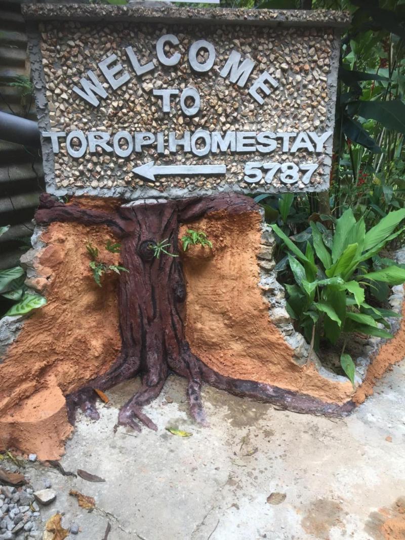 Toropi Homestay image