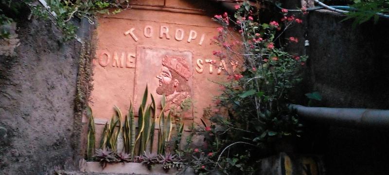 Toropi Homestay image