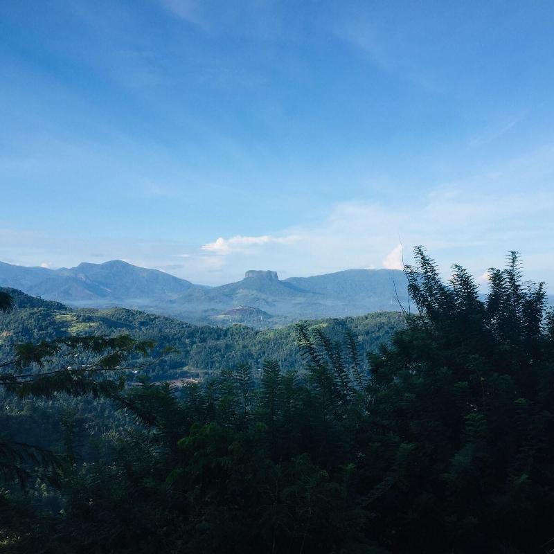 Toropi Homestay image