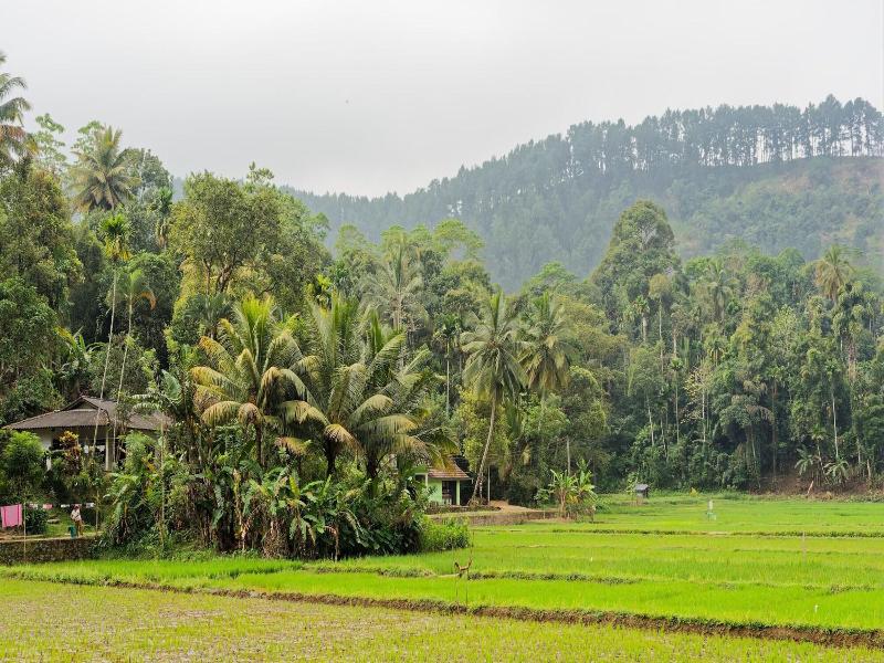 Toropi Homestay image