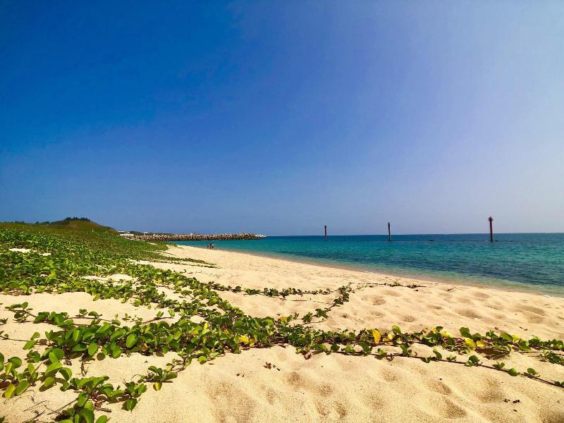 Green Cove
