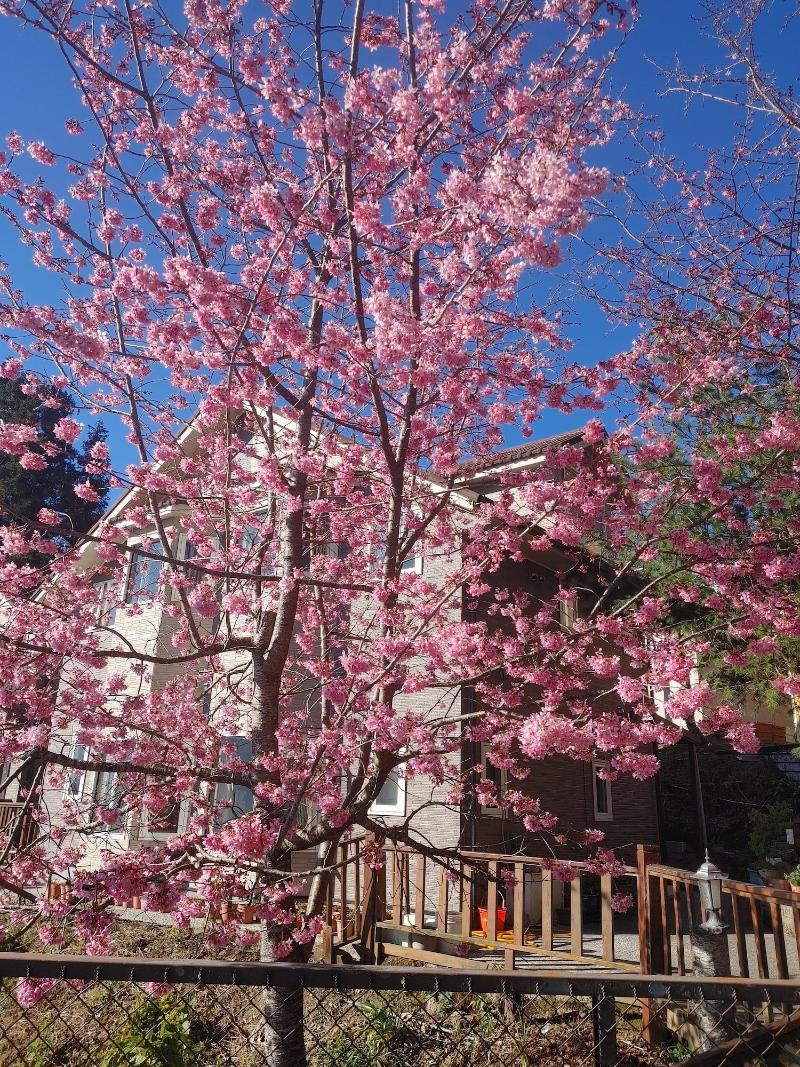 Chingjing New Paradise B&b